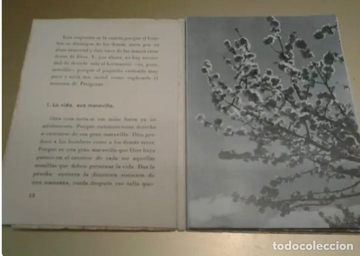 Libros de segunda mano: D&Iacute;GANOS LA VERDAD ACLARACIONES AL ADOLESCENTE - Foto 2
