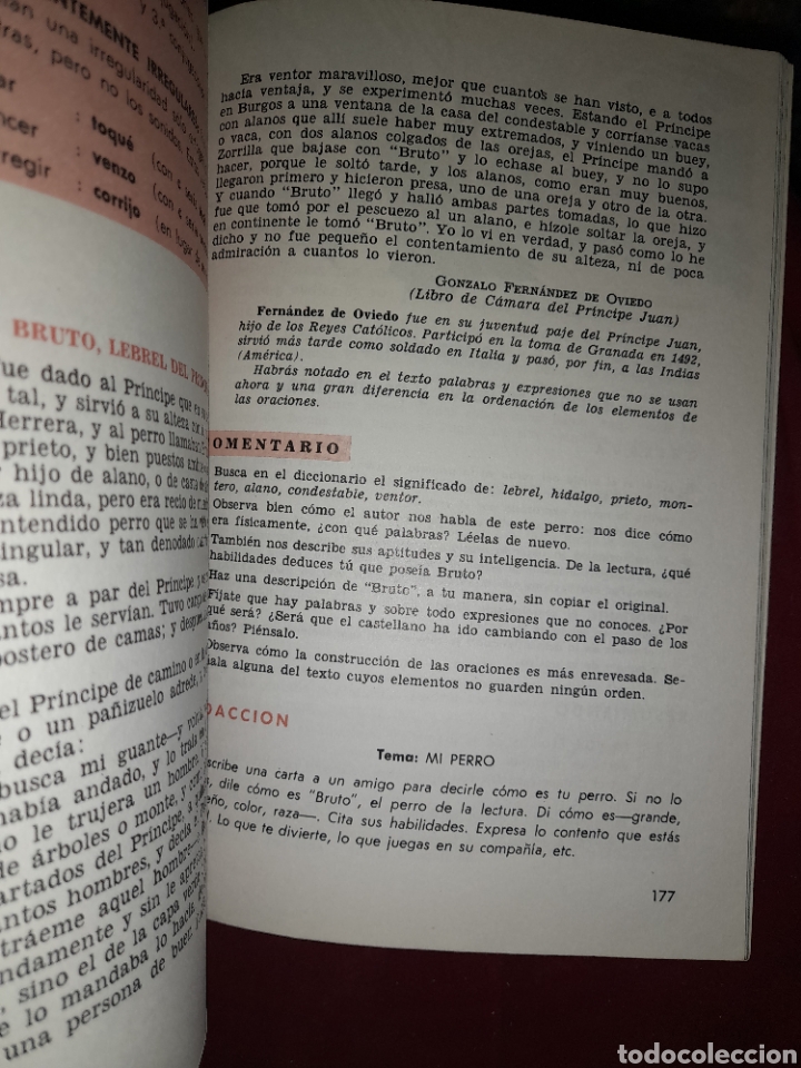 Libros de segunda mano: LIBRO TEXTO ESPA&Ntilde;OL 1&deg; EDICIONES SM 1969 CON PROGRAMA DE PLAN 1967 ABILIO FRAILE RUIZ DE OJEDA - Foto 9