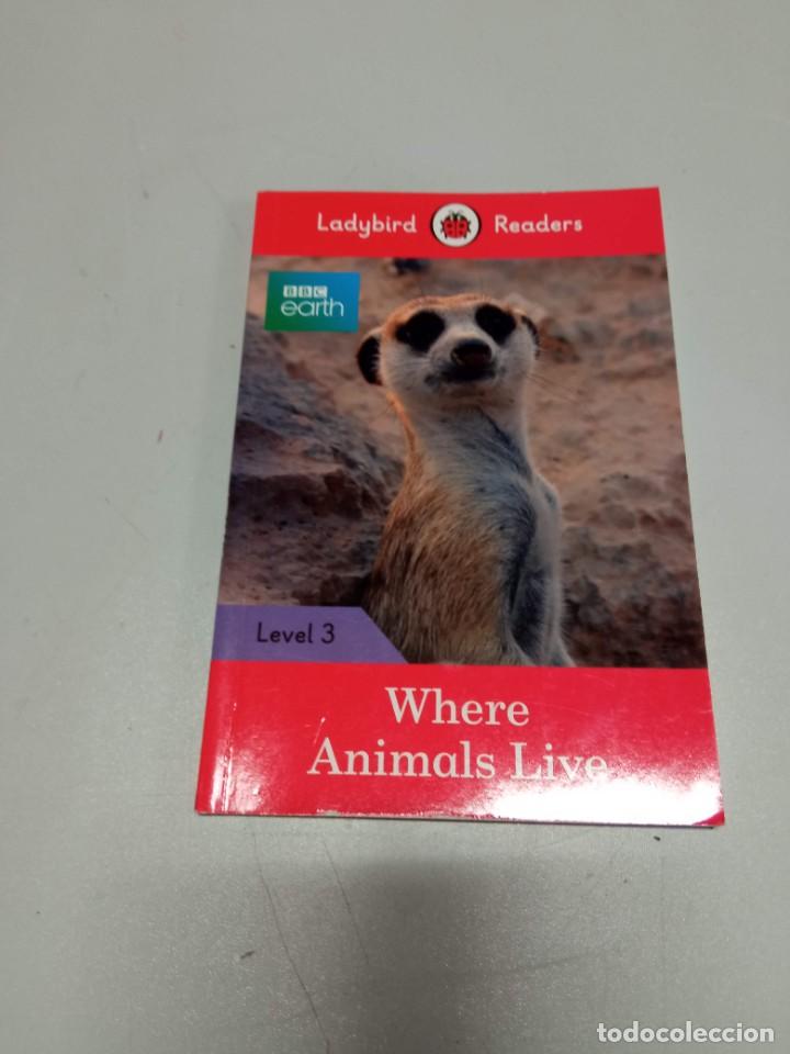 Libros de segunda mano: Where animals life libro en ingl&eacute;s - Foto 1