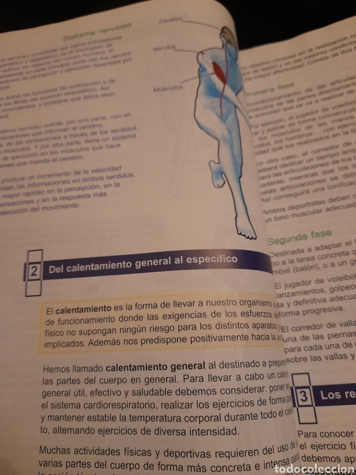 Libros de segunda mano: Libro 3 Educaci&oacute;n F&iacute;sica de Eso de Bru&ntilde;o de 2007 - Foto 7