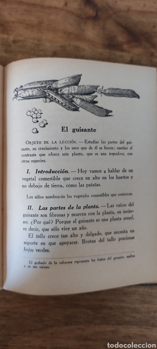 Libros de segunda mano: Lecciones De Cosas, 1940 - Foto 3