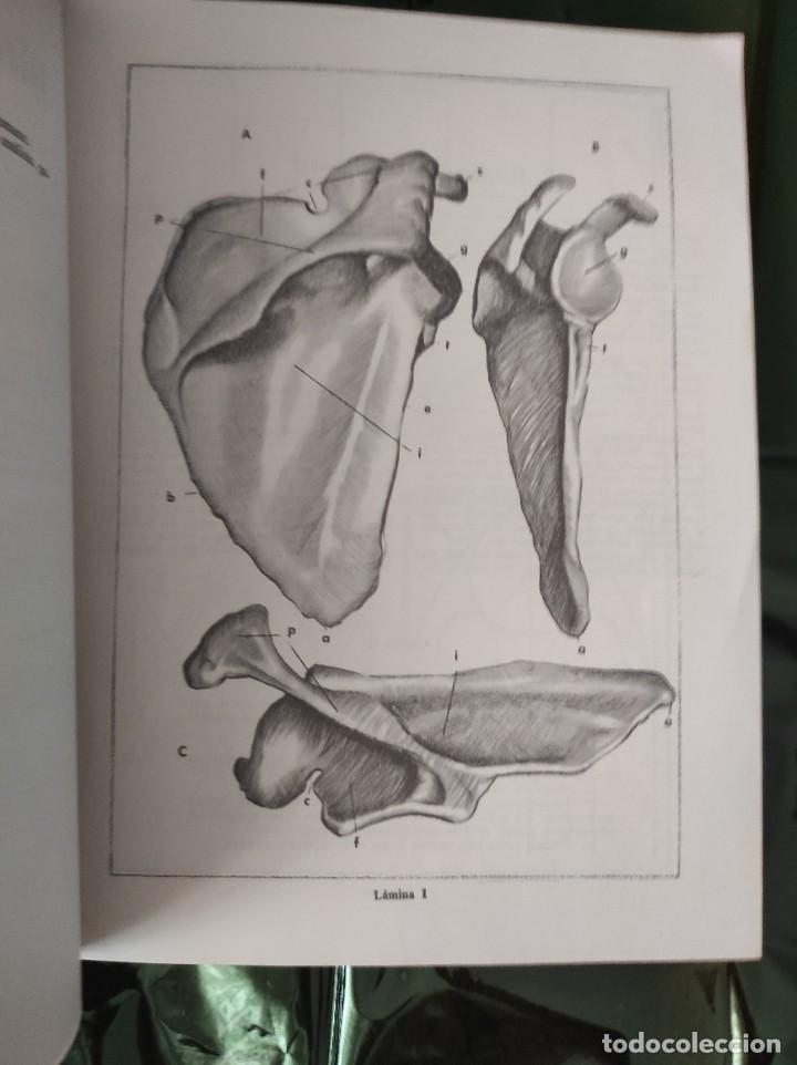 Libros de segunda mano: DIBUJO (5&deg; Curso) - Rafael Fern&aacute;ndez - Foto 2
