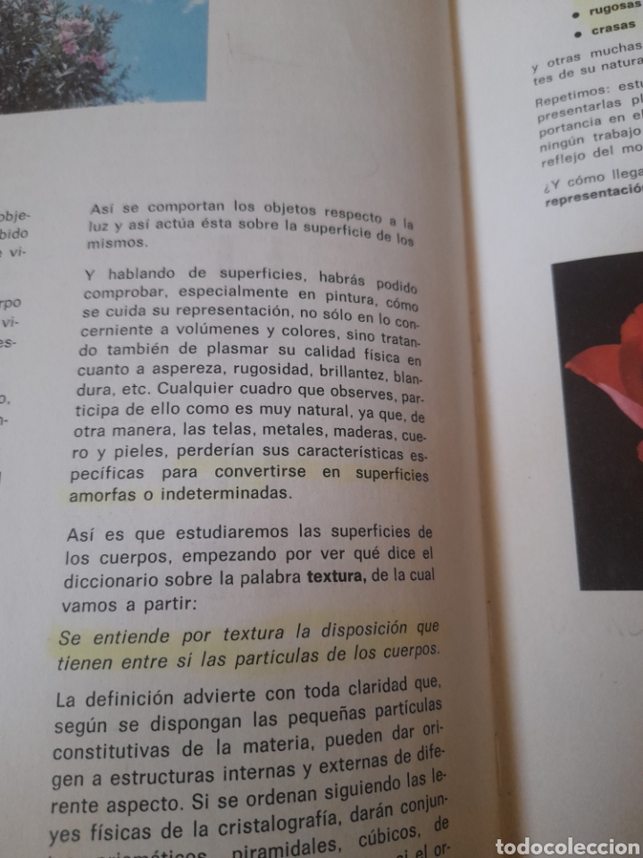 Libros de segunda mano: Observo y dibujo, Edelvives 7 de EGB de 1981 - Foto 5