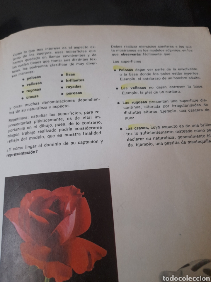 Libros de segunda mano: Observo y dibujo, Edelvives 7 de EGB de 1981 - Foto 6