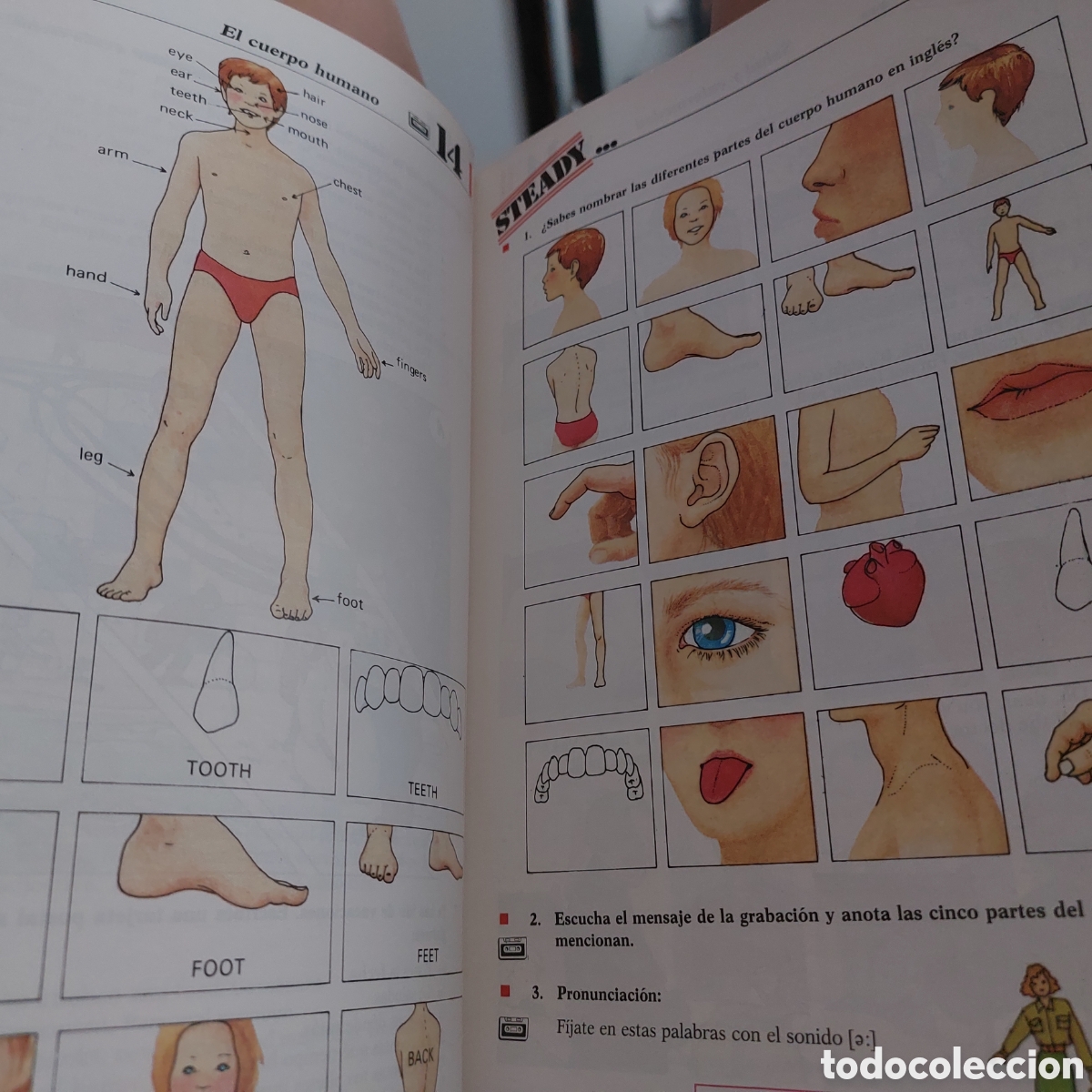Libros de segunda mano: Libro de texto ingles anaya 7 egb a&ntilde;o 1988 - Foto 5