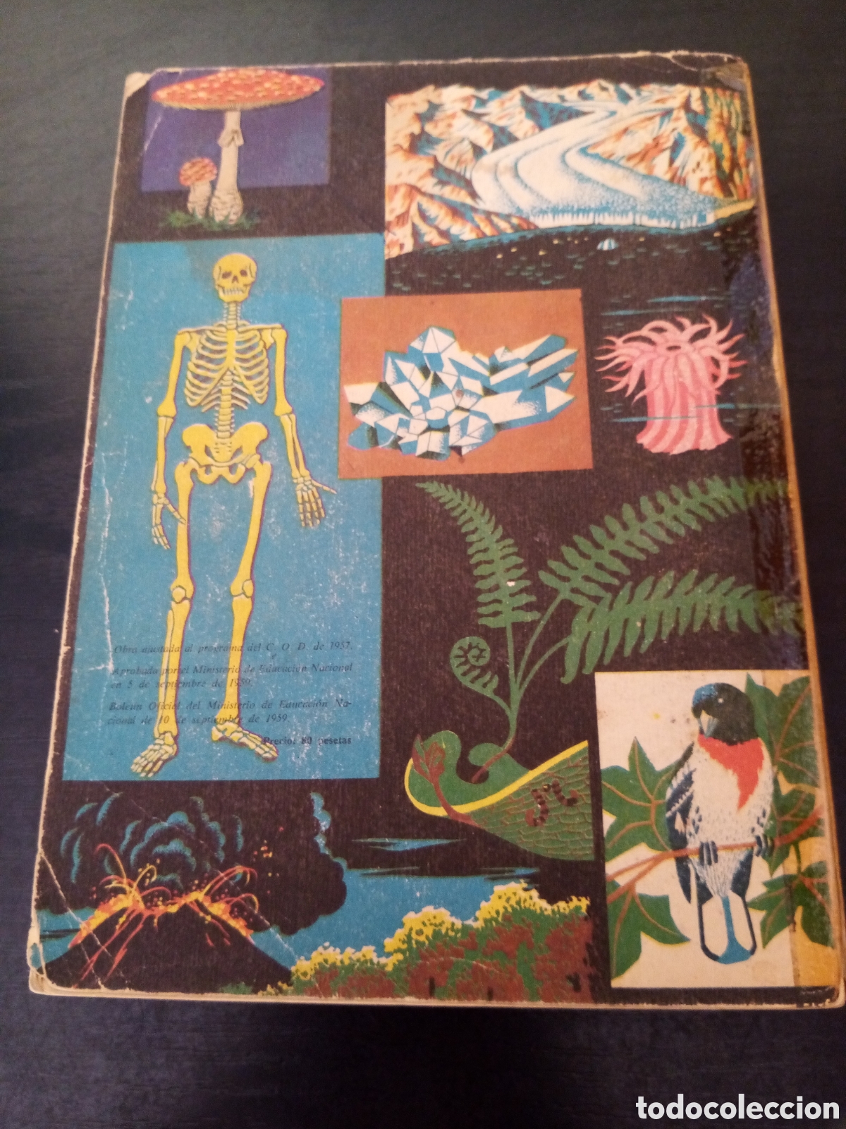 Libros de segunda mano: Ciencias naturales -E. L&oacute;pez Mezquida- 3er curso - Foto 3
