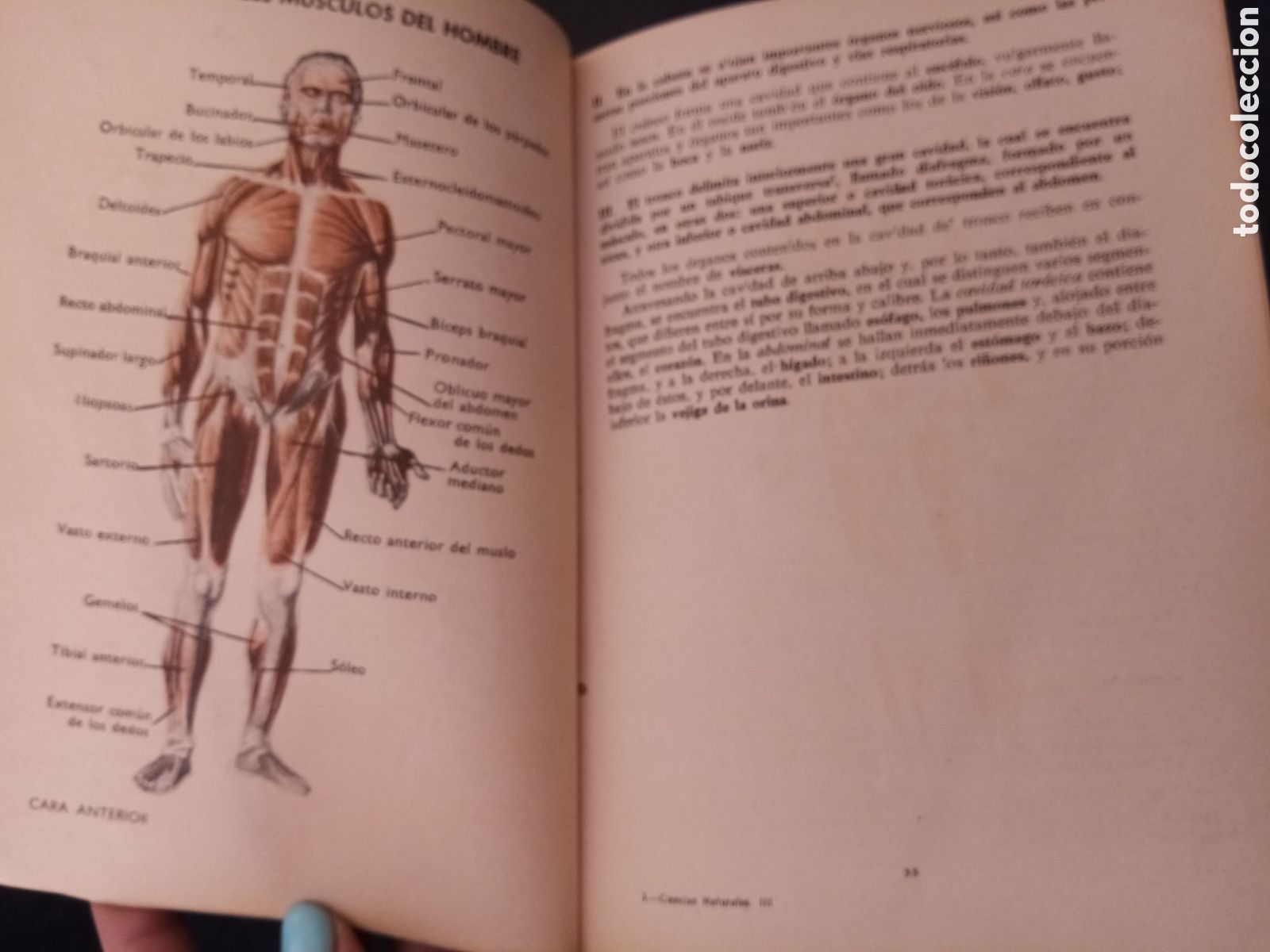 Libros de segunda mano: Ciencias naturales -E. L&oacute;pez Mezquida- 3er curso - Foto 5