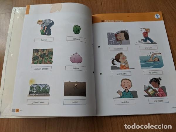 Libros de segunda mano: LIBRO DE TEXTO ENGLISH VOCABULARY 2&ordm; - Foto 2