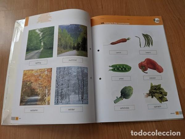 Libros de segunda mano: LIBRO DE TEXTO ENGLISH VOCABULARY 2&ordm; - Foto 3