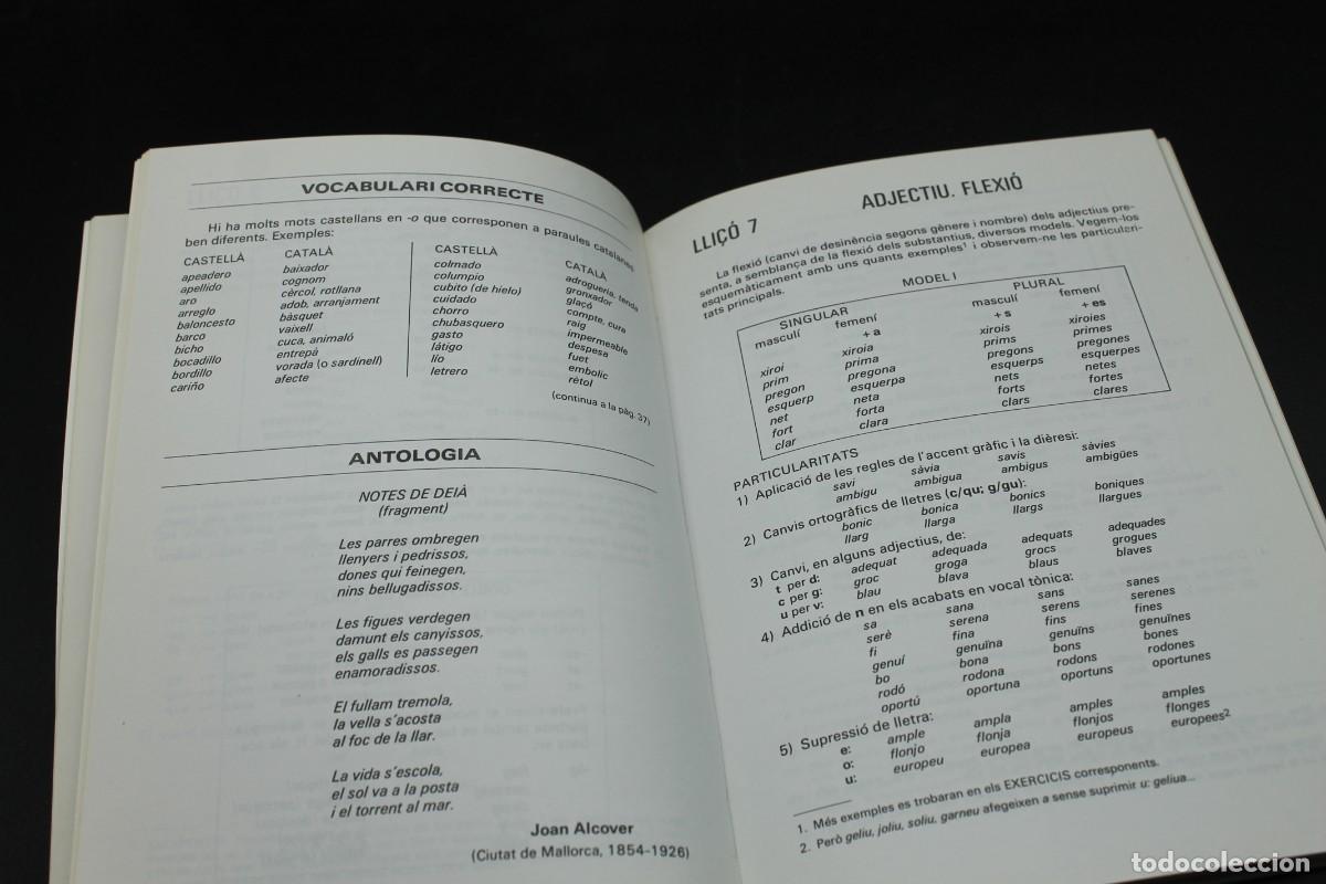 Libros de segunda mano: CATAL&Agrave; F&Agrave;CIL CURS B&Agrave;SIC PER A CATALANOPARLANTS A&Ntilde;O 1990 - Foto 4