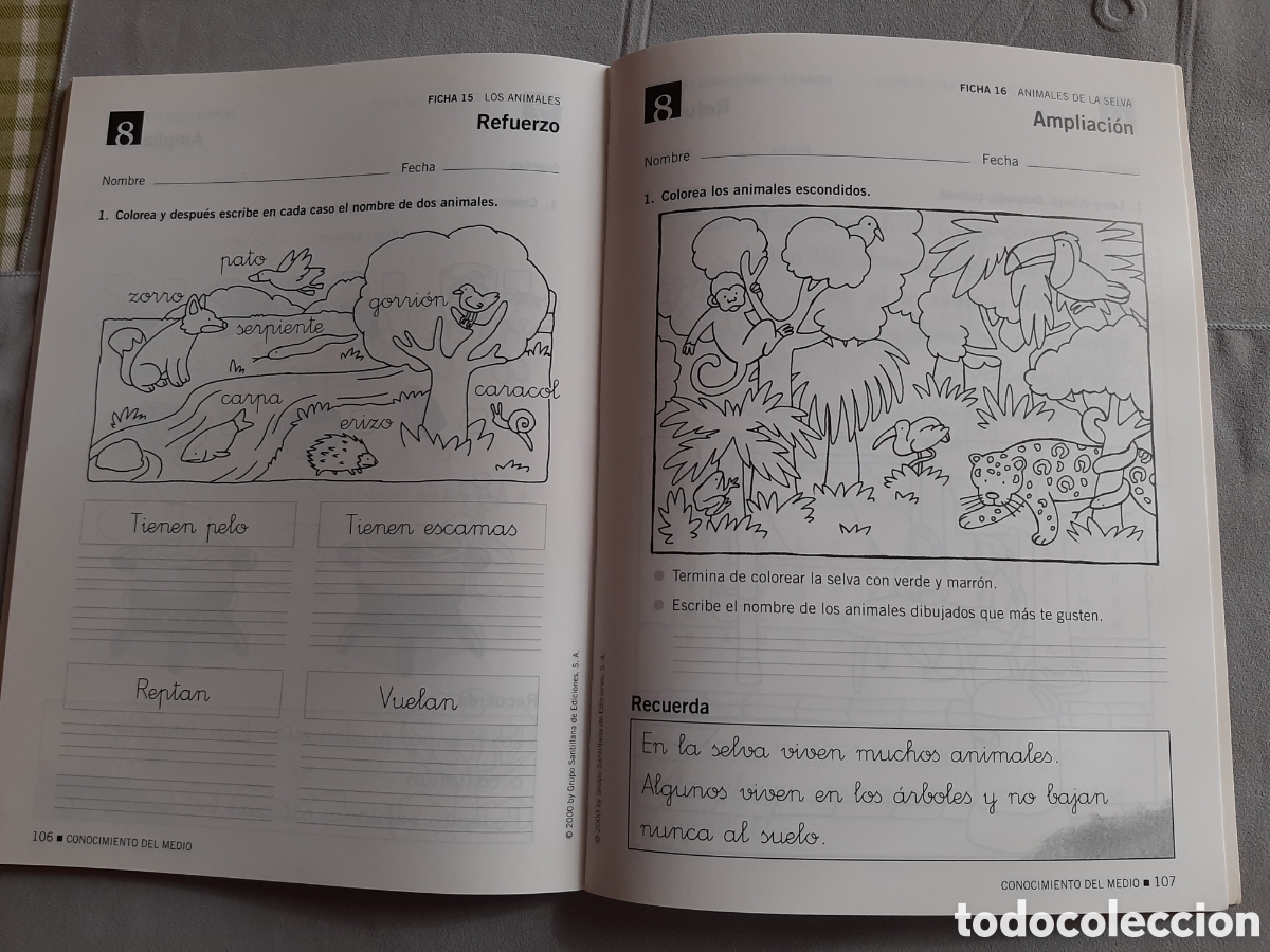 Libros de segunda mano: EGB PRIMARIA ATENCI&Oacute;N DIVERSIDAD Y LIBRO TEATRO - Foto 12