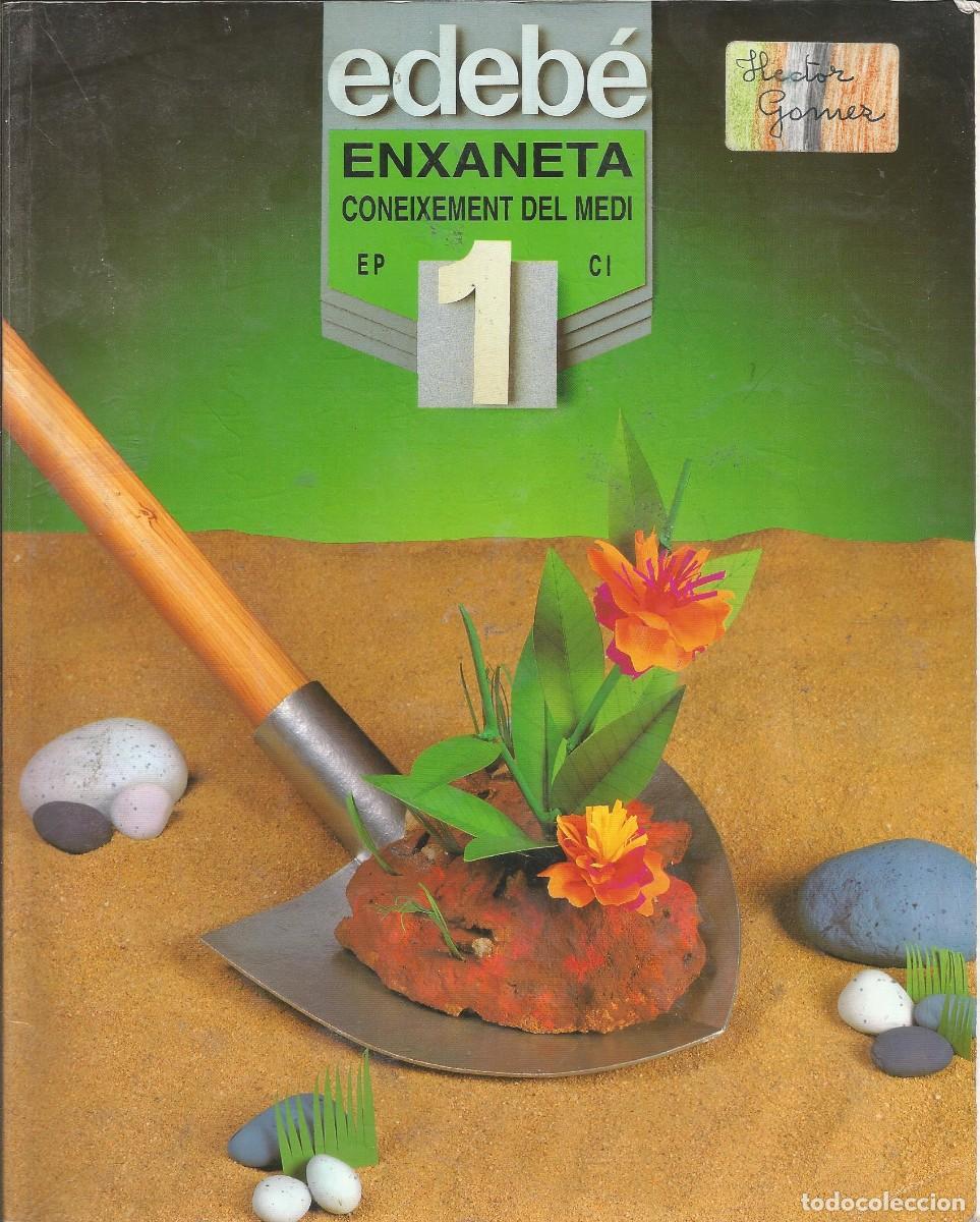 Libros de segunda mano: Coneixement del Medi. 1&ordm; Primaria. Ed. Edeb&eacute;. A&ntilde;o 1996 - Foto 1