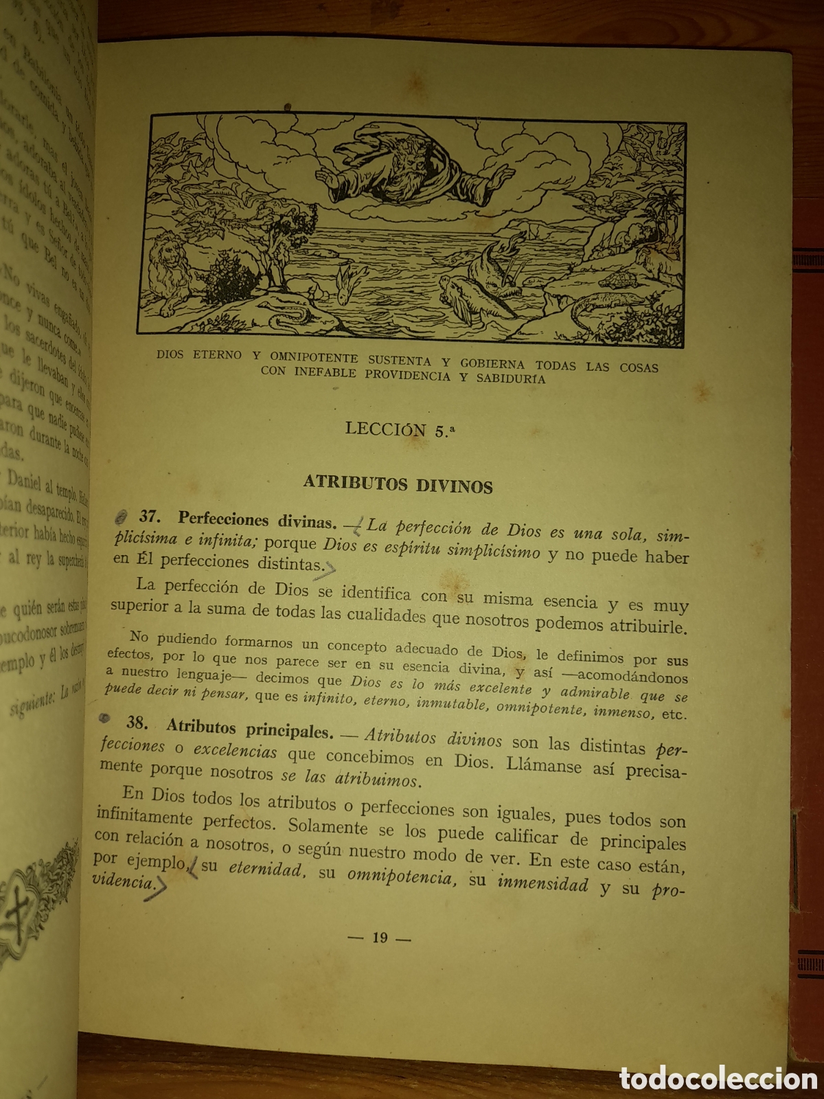 Libros de segunda mano: ELEMENTOS DE RELIGION PRIMER CURSO EDITORIAL LUIS VIVES 1946 CON PROGRAMA - Foto 9