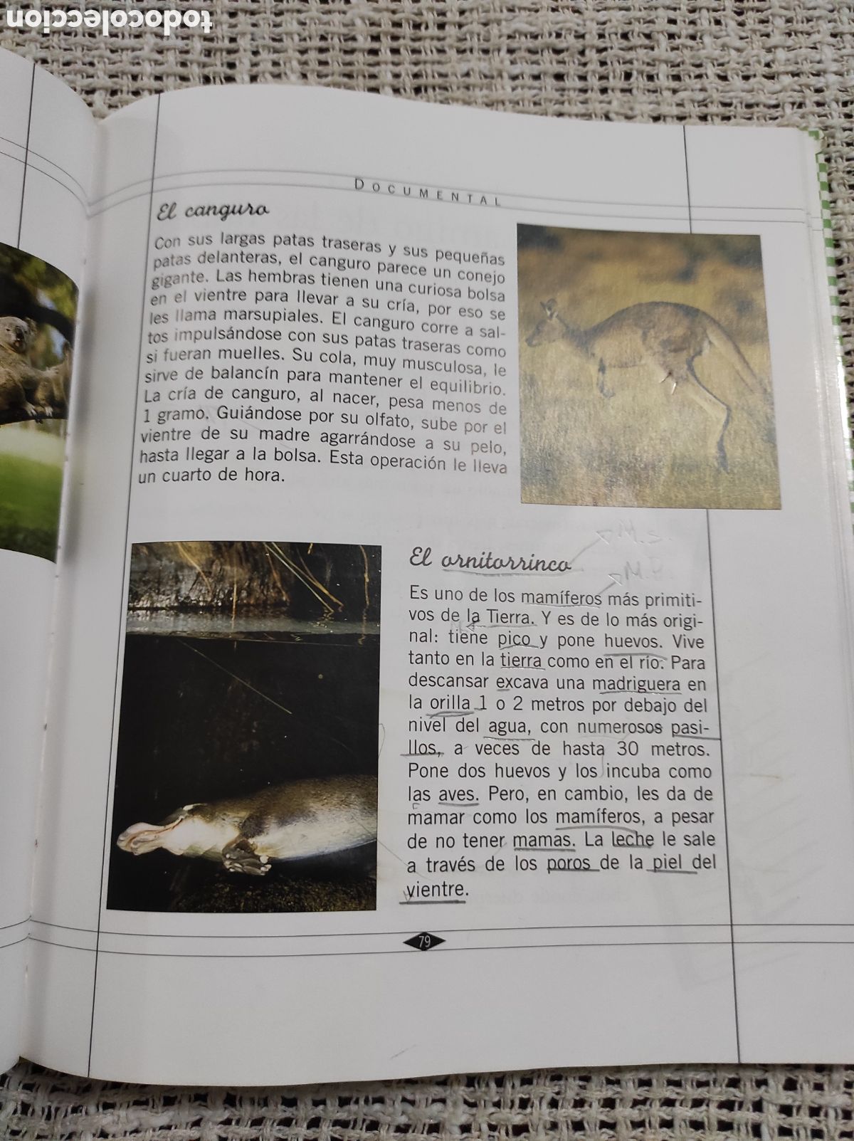 Libros de segunda mano: EL DRAG&Oacute;N CANEL&Oacute;N LECTURAS 4 DE PRIMARIA -ED. SM - Foto 2