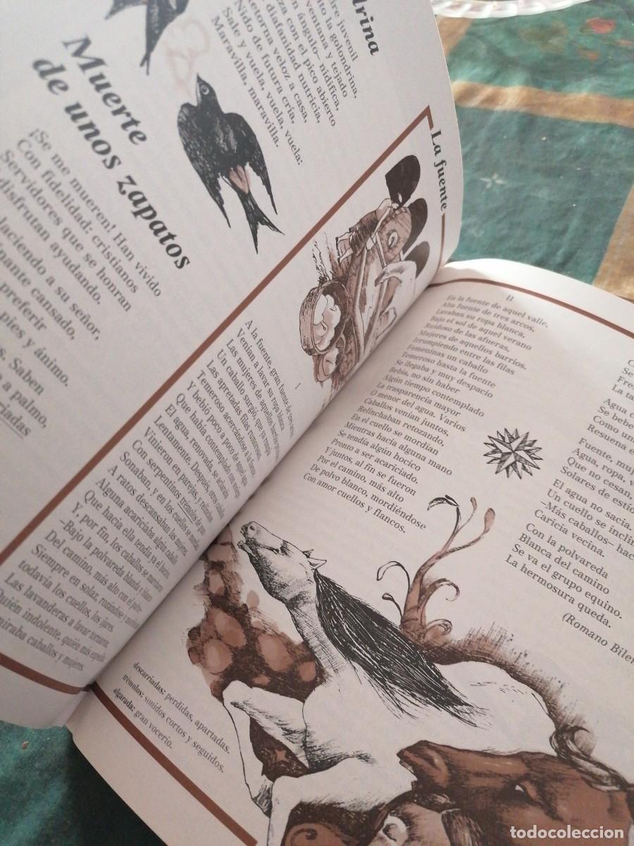 Libros de segunda mano: SENDA S&Eacute;PTIMO E. G. B - Foto 5