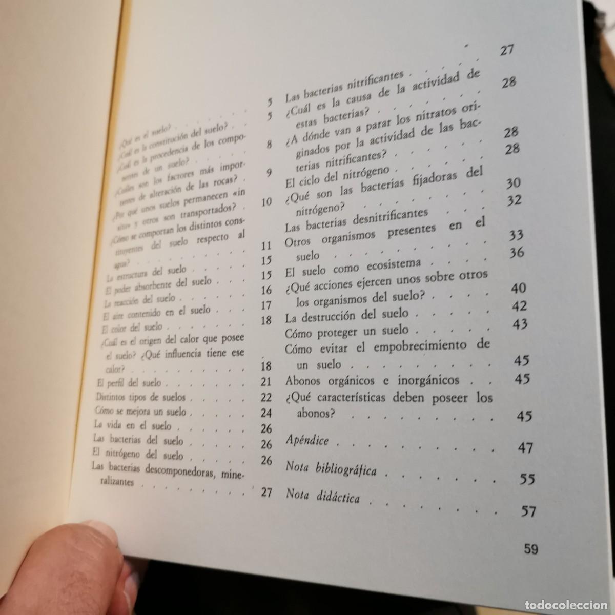 Libros de segunda mano: ⚜️ #EMA5. IMPECABLE. El suelo. Neviani. Avance 1969 - Foto 3