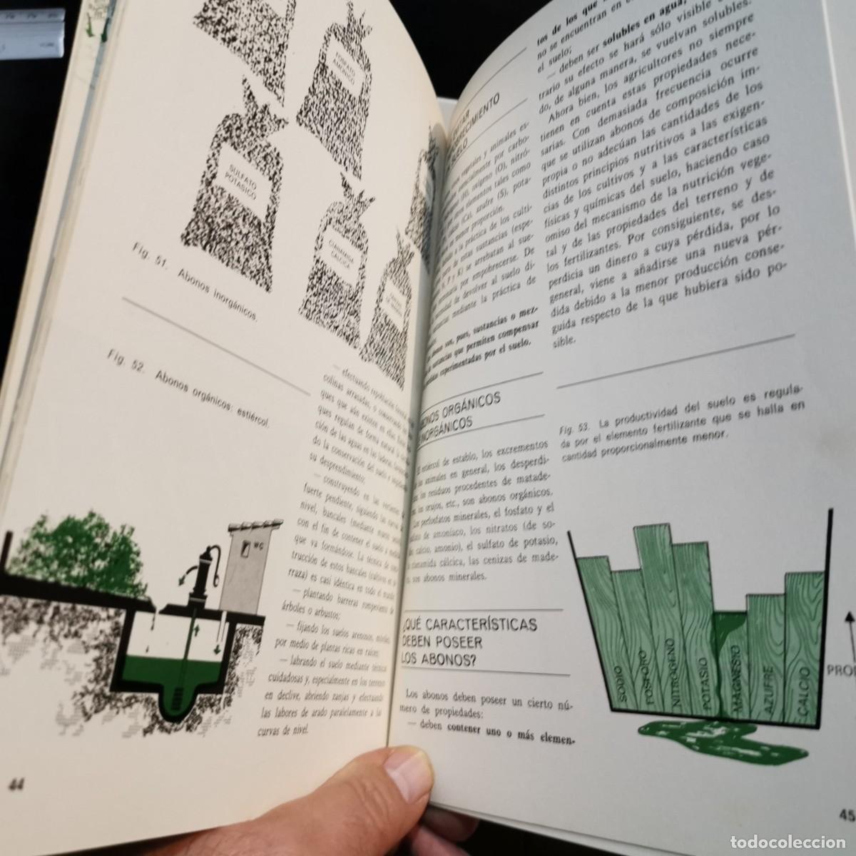 Libros de segunda mano: ⚜️ #EMA5. IMPECABLE. El suelo. Neviani. Avance 1969 - Foto 5