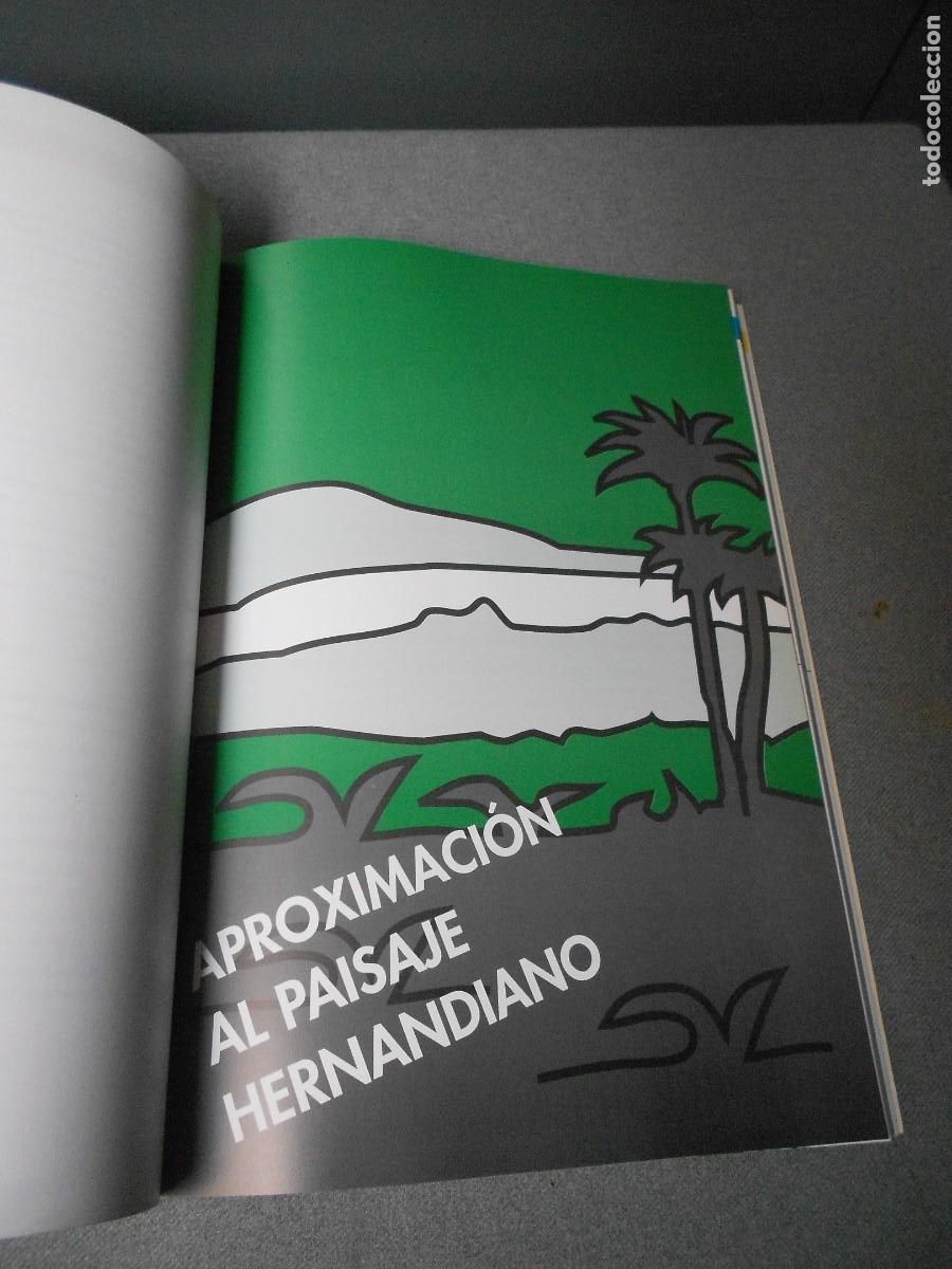 Libros de segunda mano: MIGUEL HERNANDEZ EN LAS AULAS - Foto 4