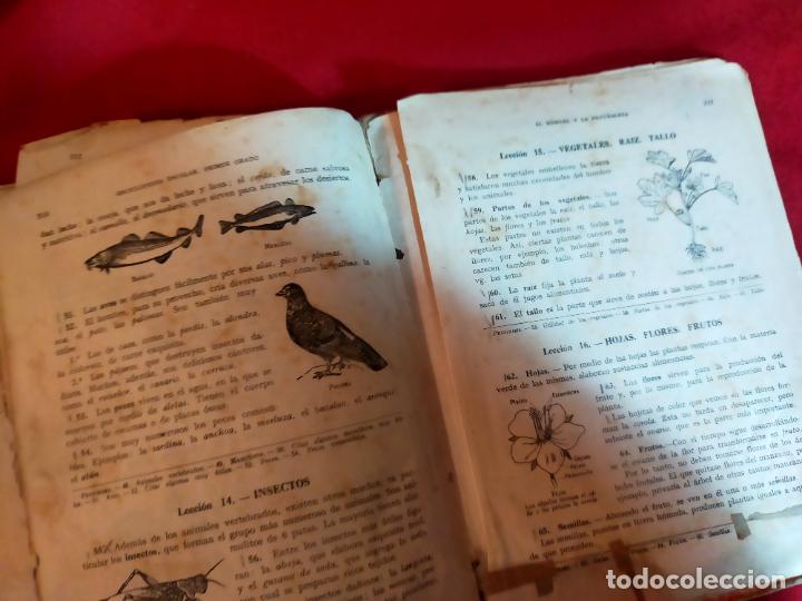 Libros de segunda mano: ENCICLOPEDIA DE PRIMER GRADO. EDIT&Oacute; LUIS VIVES - Foto 9