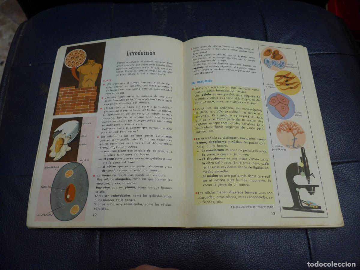 Libros de segunda mano: CIENCIAS NATURALES 2&deg; BACHILLERATO EDICIONES S. M. - Foto 11