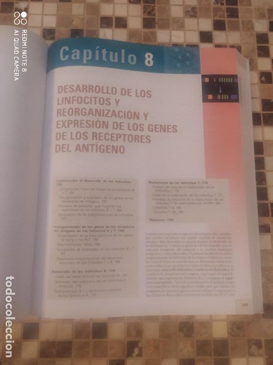 Libros de segunda mano: Inmunolog&iacute;a celular y molecular. 6&ordf; edici&oacute;n - Foto 4