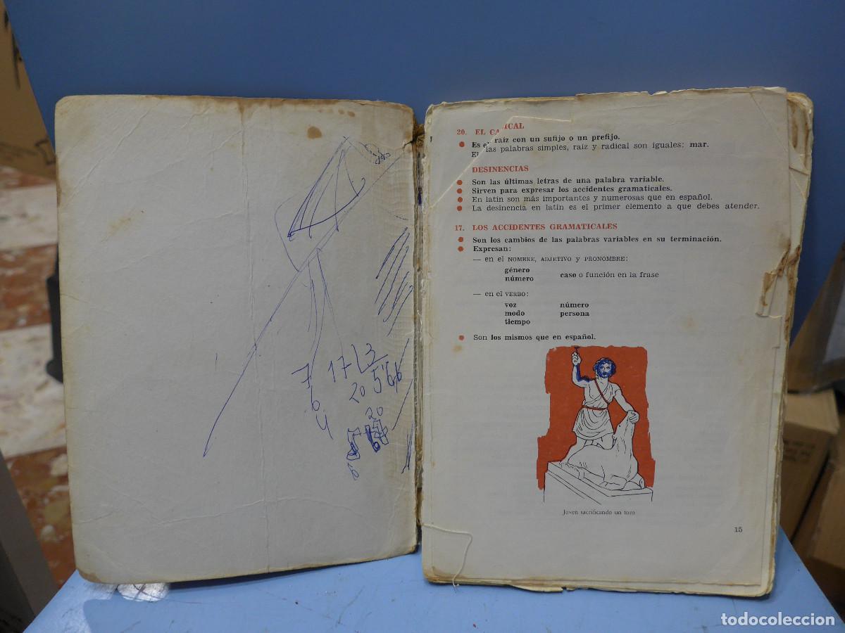 Libros de segunda mano: GRAMATICA LATINA F. G. DEL RIO - EDICIONES S. M. - Foto 3
