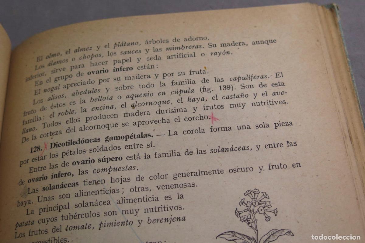 Libros de segunda mano: Ciencias cosmol&oacute;gicas. Primer curso. vives. 1948 - Foto 3