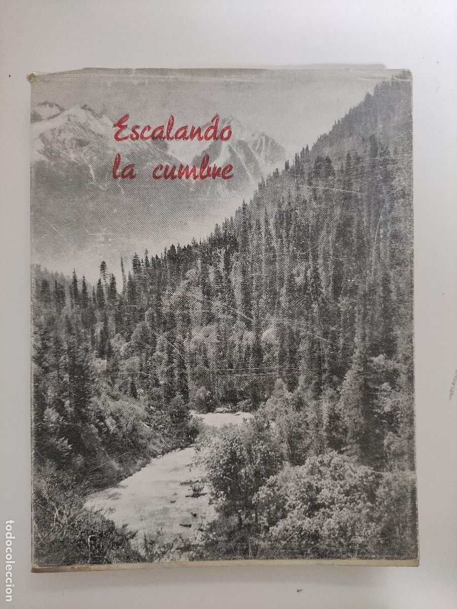 Libros de segunda mano: escalando la cumbre