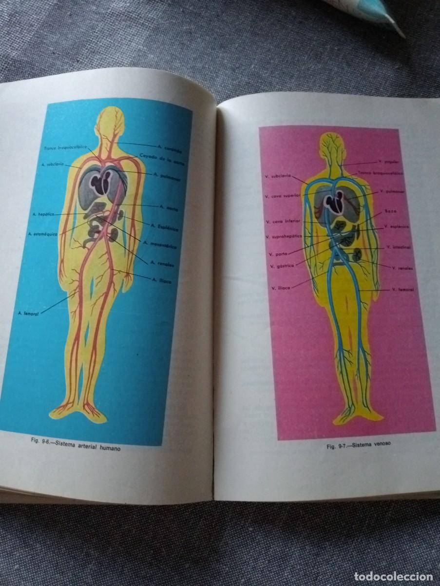 Libros de segunda mano: Ciencias Naturales. 2&deg; curso. Marfil. - Foto 4