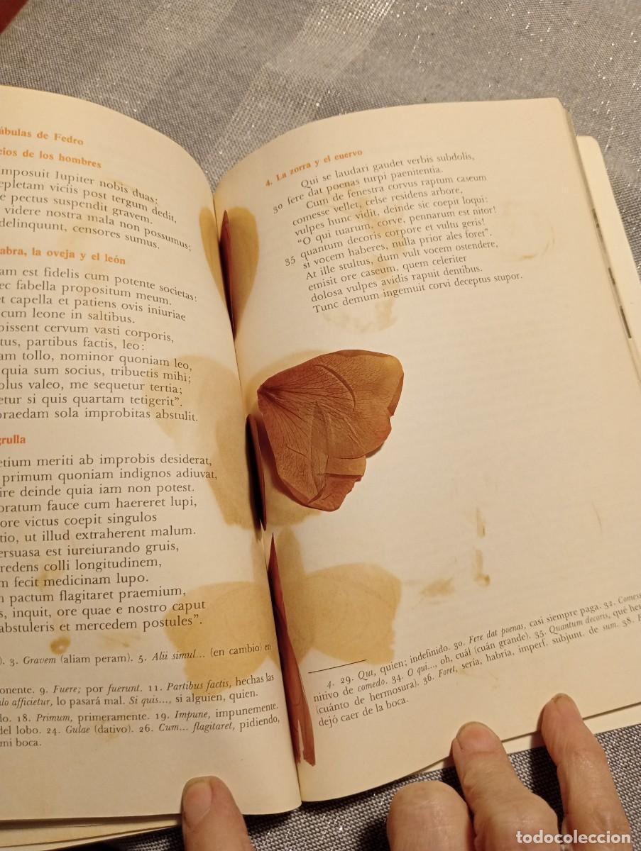Libros de segunda mano: Lengua Latina. 4&deg;. Textos Everest. - Foto 6