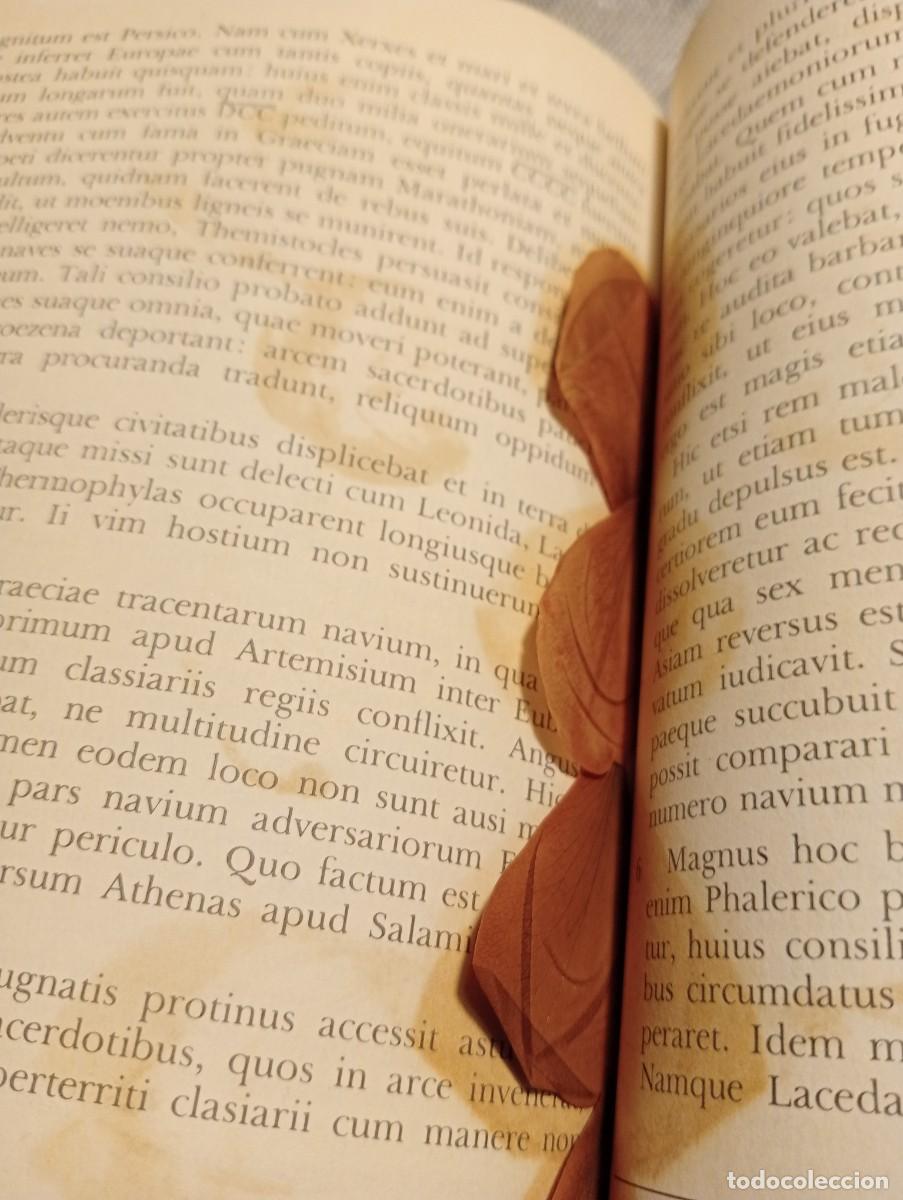 Libros de segunda mano: Lengua Latina. 4&deg;. Textos Everest. - Foto 7