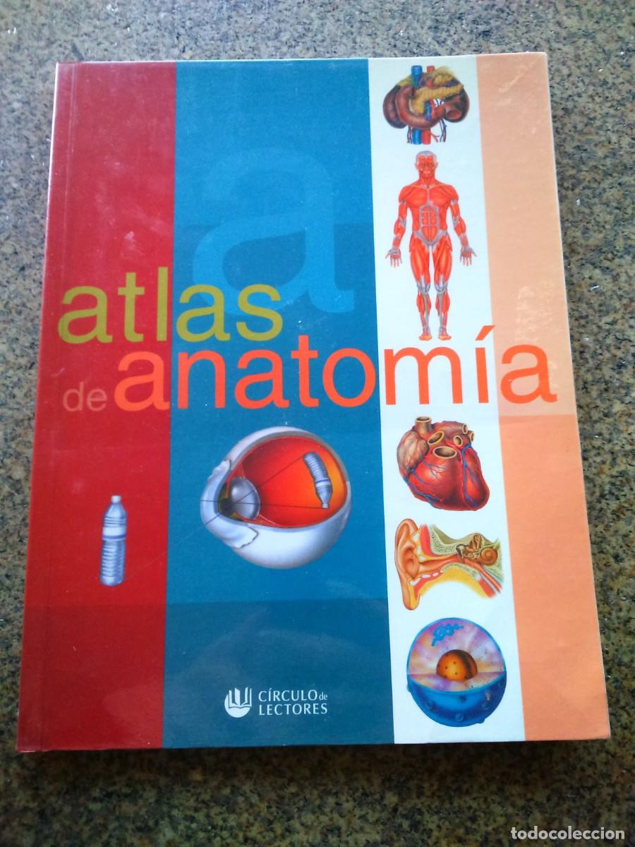 Libros de segunda mano: ATLAS DE ANATOMIA -- CIRCULO 2002 -- - Foto 1