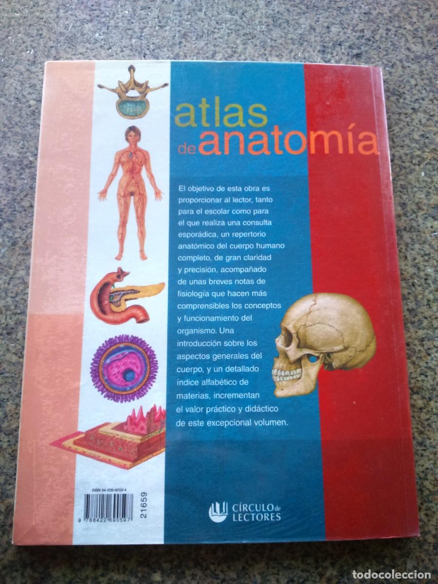 Libros de segunda mano: ATLAS DE ANATOMIA -- CIRCULO 2002 -- - Foto 3