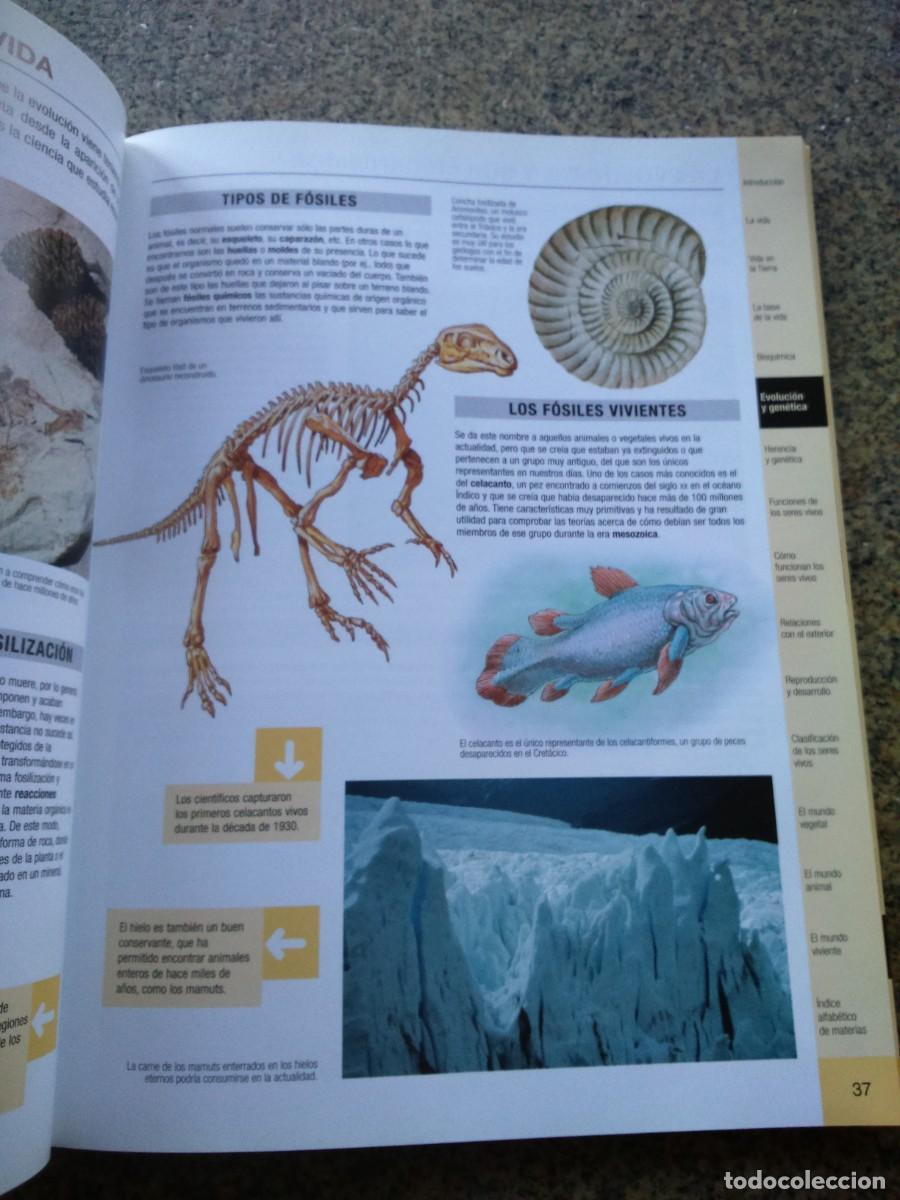 Libros de segunda mano: ATLAS BASICO DE BIOLOGIA -- CIRCULO 2002 -- - Foto 2