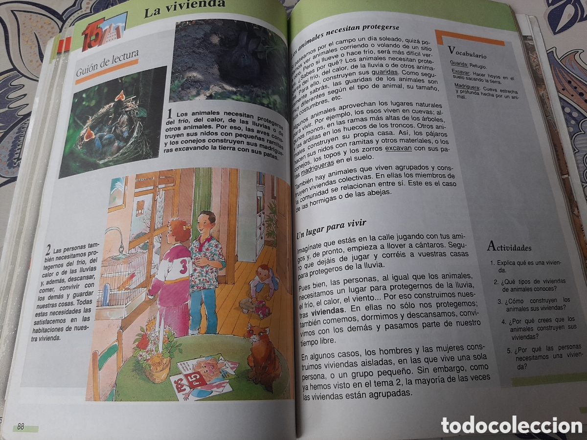 Libros de segunda mano: ANAYA CIENCIAS SOCIALES 3 EGB - Foto 12