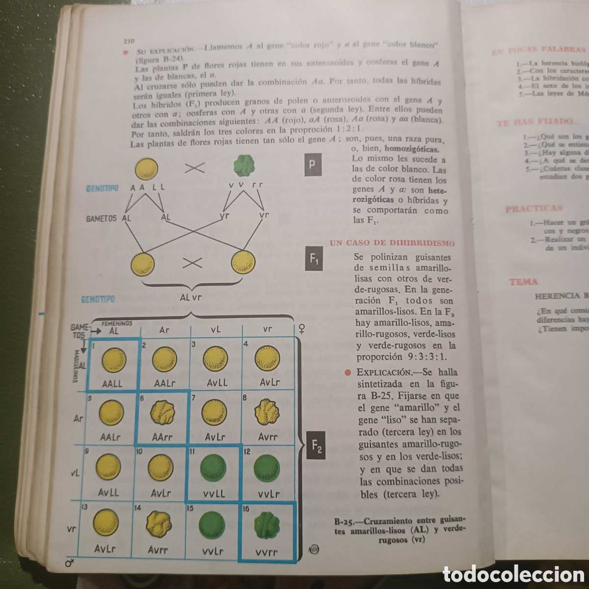 Libros de segunda mano: CIENCIAS NATURALES 5 A&Ntilde;O 1968 - Foto 2