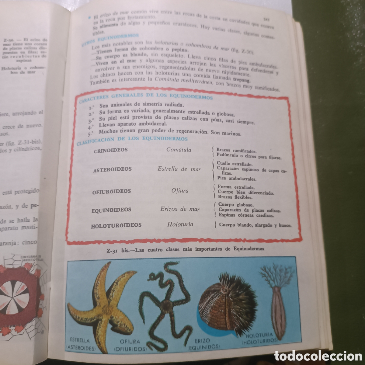 Libros de segunda mano: CIENCIAS NATURALES 5 A&Ntilde;O 1968 - Foto 3