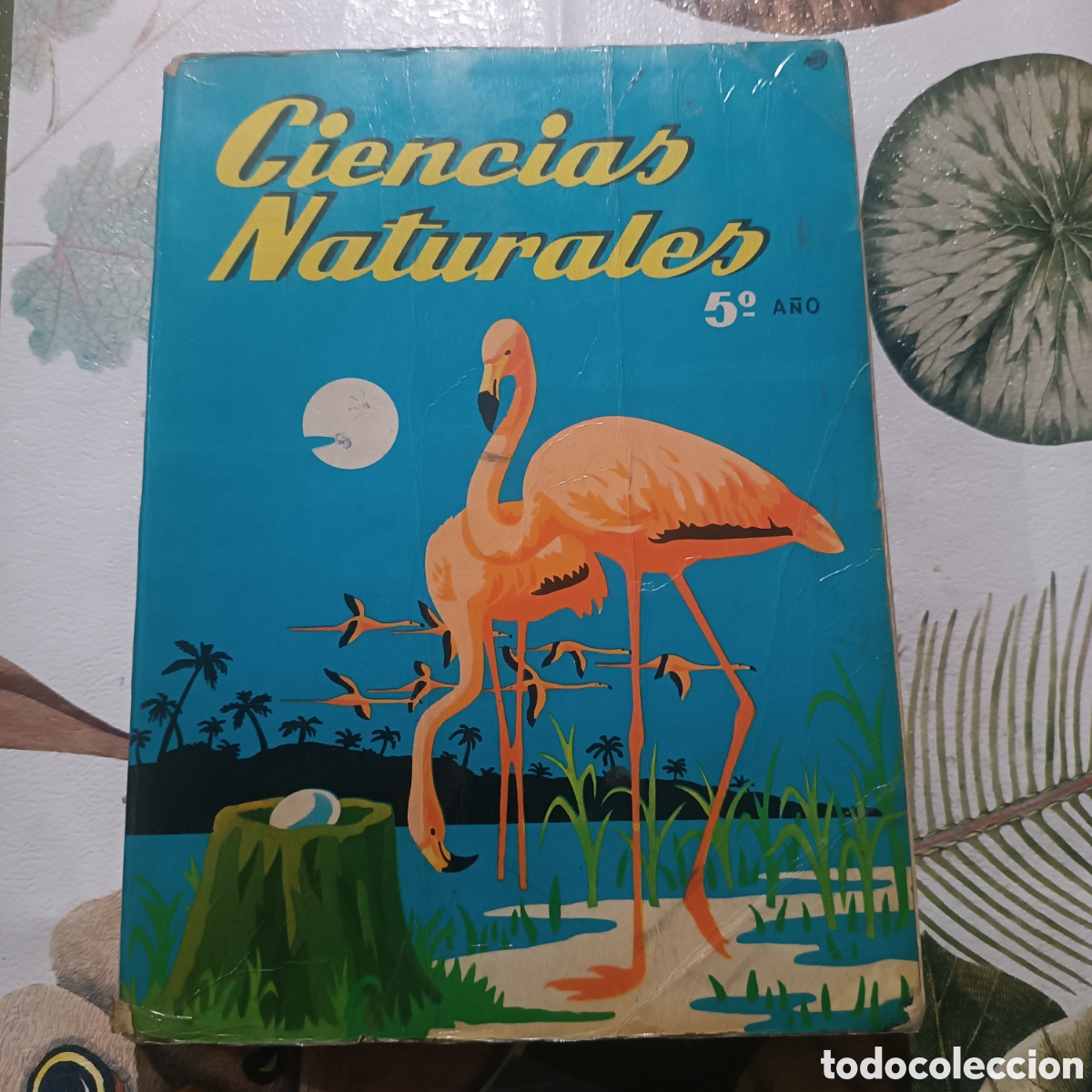 Libros de segunda mano: CIENCIAS NATURALES 5 A&Ntilde;O 1968 - Foto 1