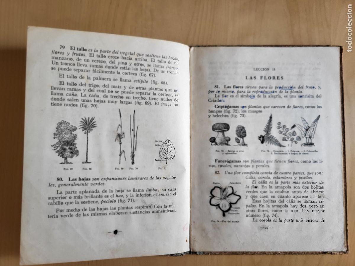 Libros de segunda mano: CIENCIAS FISICONATURALES PRIMER GRADO - Foto 10