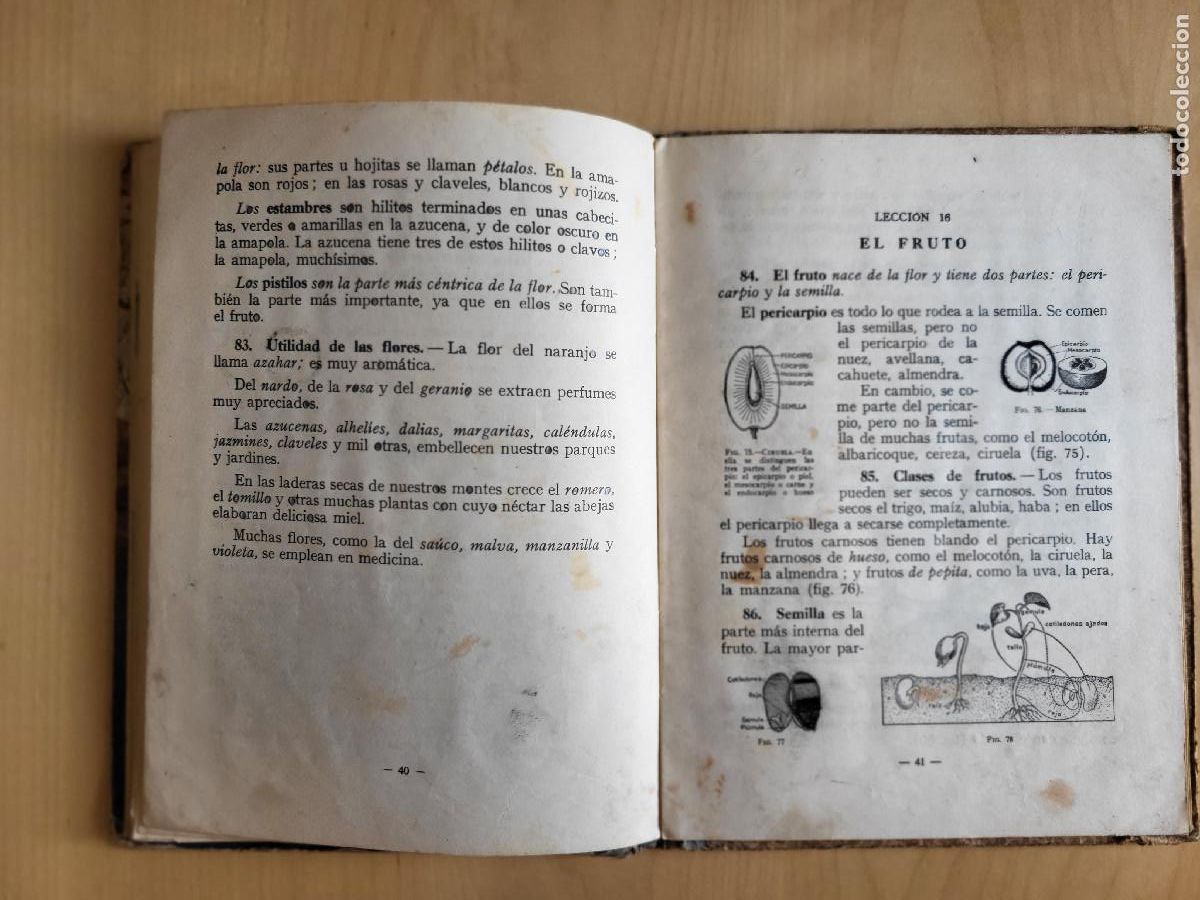 Libros de segunda mano: CIENCIAS FISICONATURALES PRIMER GRADO - Foto 11