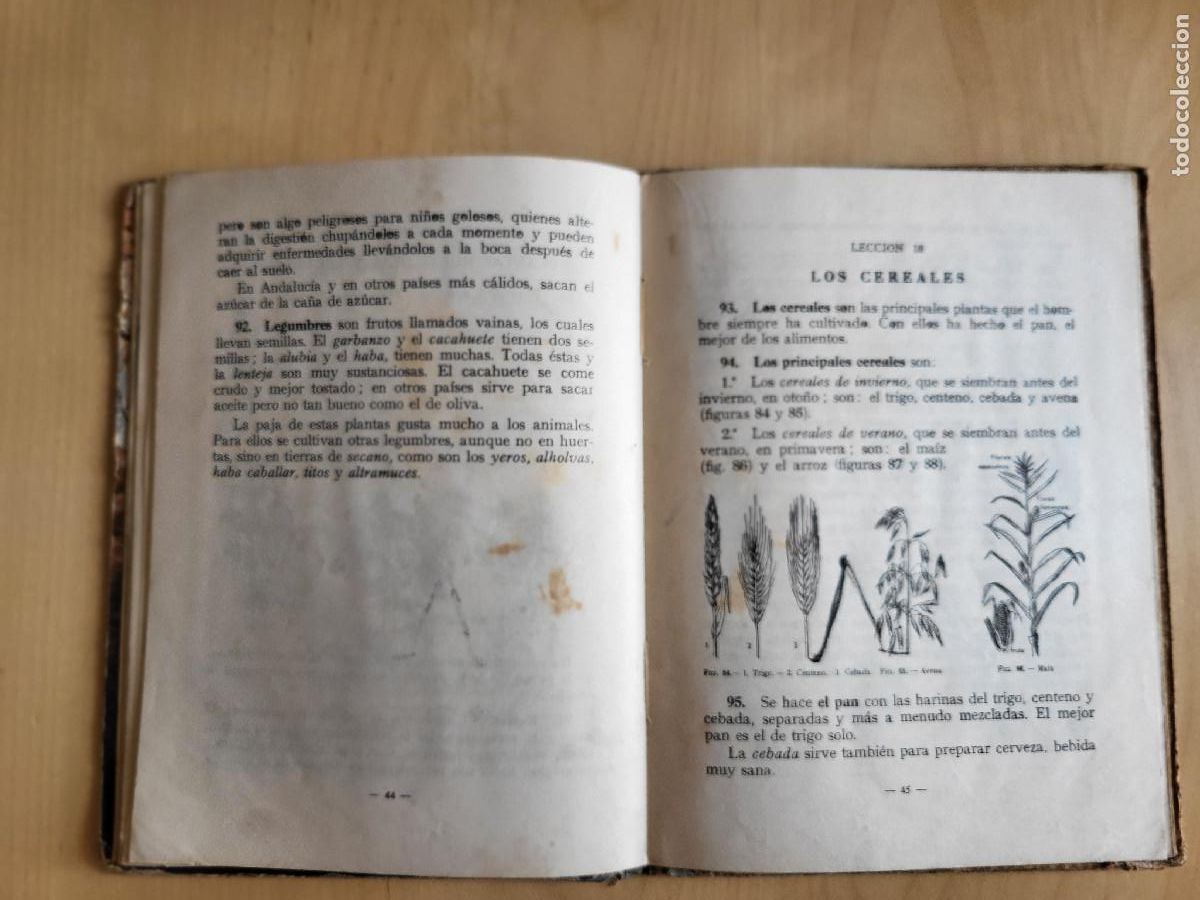 Libros de segunda mano: CIENCIAS FISICONATURALES PRIMER GRADO - Foto 12