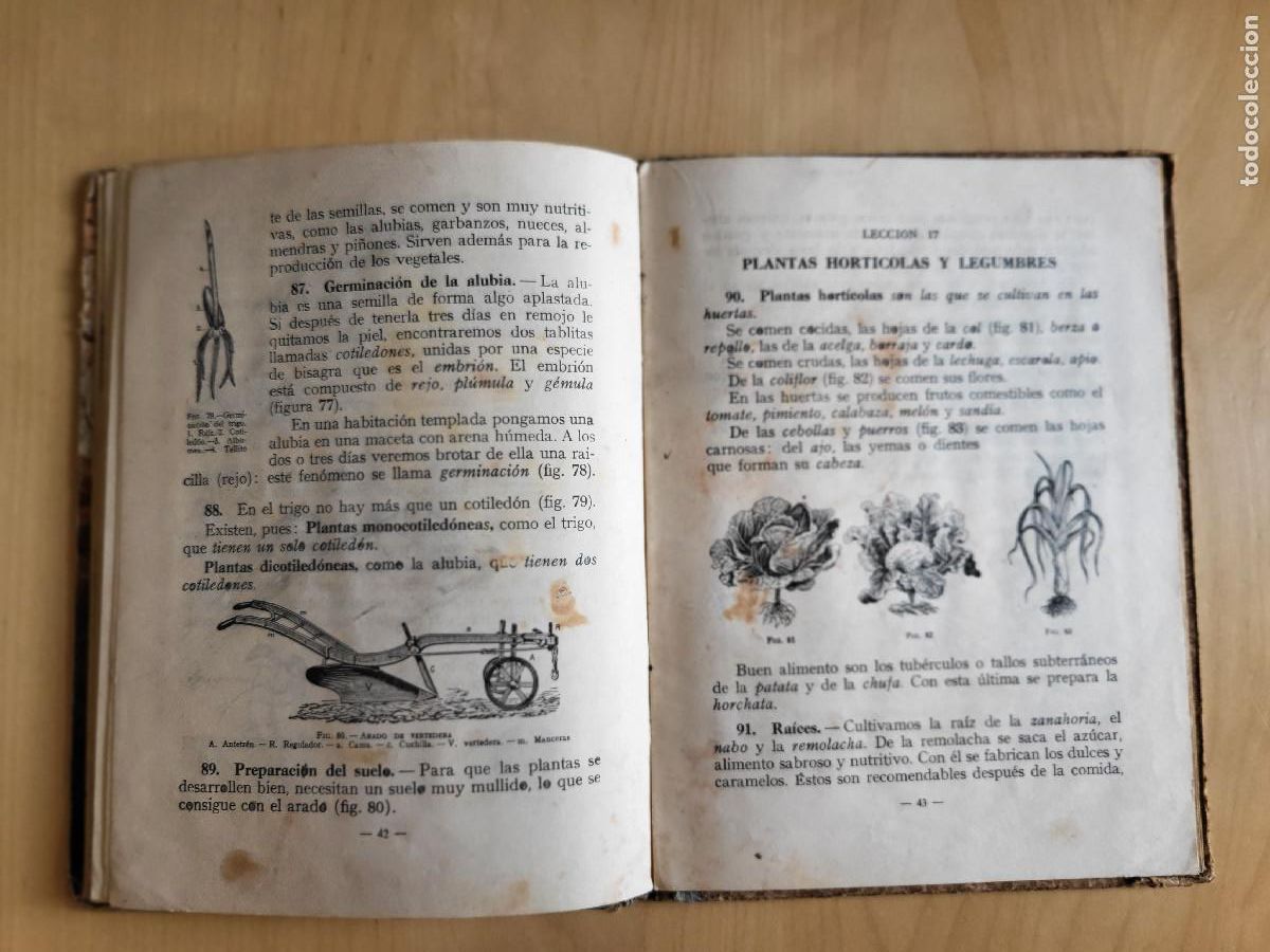 Libros de segunda mano: CIENCIAS FISICONATURALES PRIMER GRADO - Foto 14