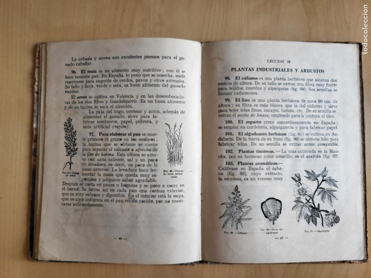 Libros de segunda mano: CIENCIAS FISICONATURALES PRIMER GRADO - Foto 15