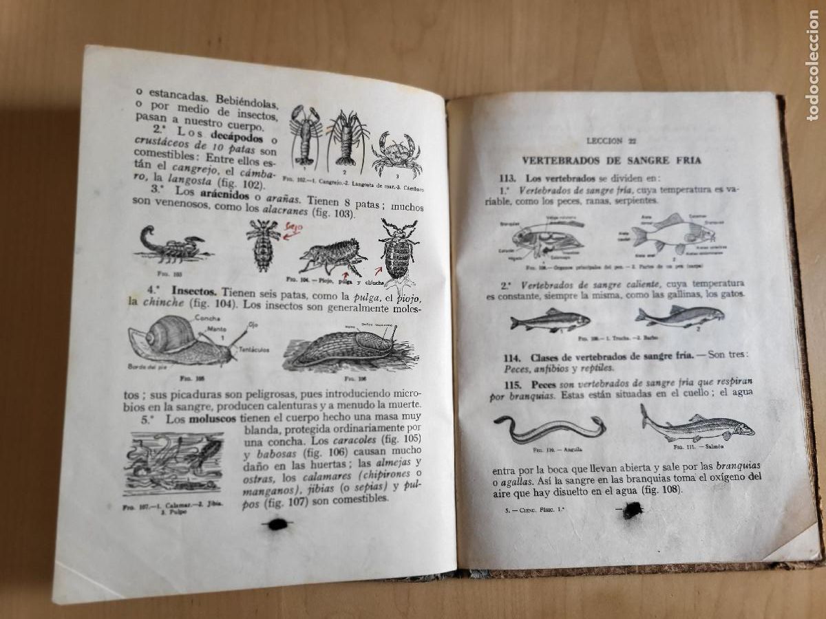 Libros de segunda mano: CIENCIAS FISICONATURALES PRIMER GRADO - Foto 17