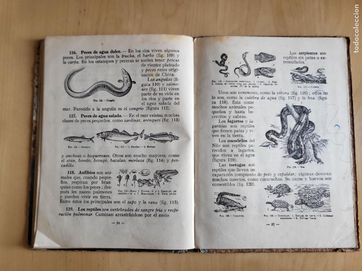 Libros de segunda mano: CIENCIAS FISICONATURALES PRIMER GRADO - Foto 18