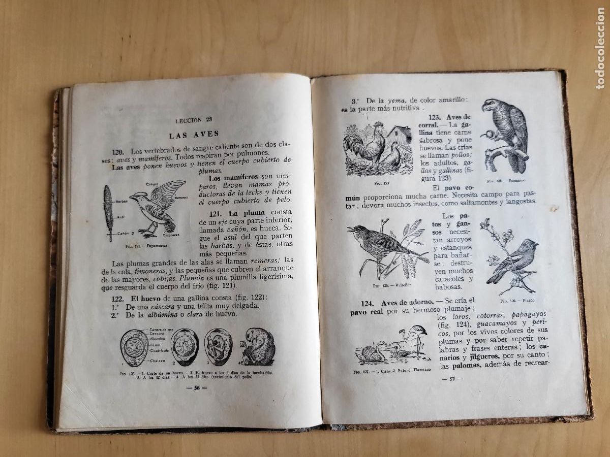 Libros de segunda mano: CIENCIAS FISICONATURALES PRIMER GRADO - Foto 19