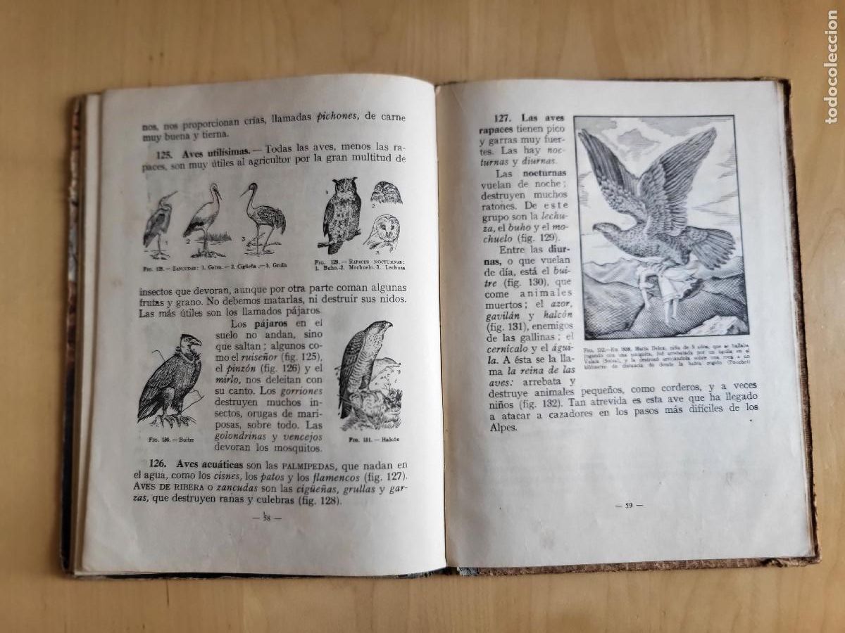 Libros de segunda mano: CIENCIAS FISICONATURALES PRIMER GRADO - Foto 20