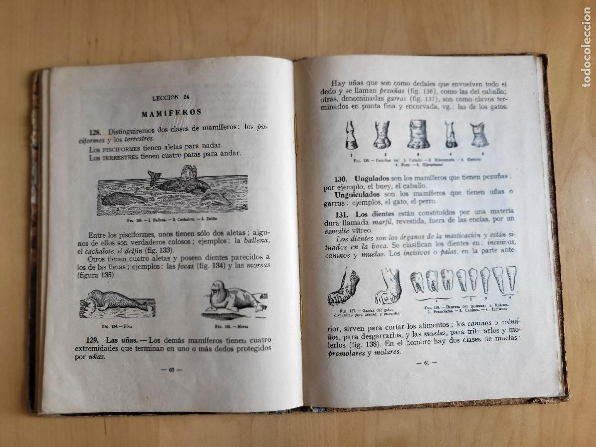 Libros de segunda mano: CIENCIAS FISICONATURALES PRIMER GRADO - Foto 21