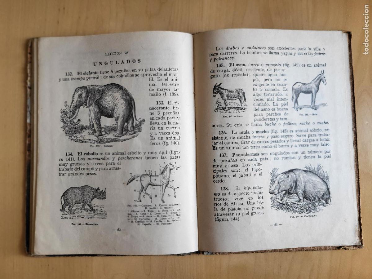 Libros de segunda mano: CIENCIAS FISICONATURALES PRIMER GRADO - Foto 22