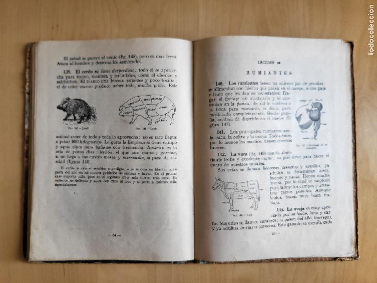 Libros de segunda mano: CIENCIAS FISICONATURALES PRIMER GRADO - Foto 23